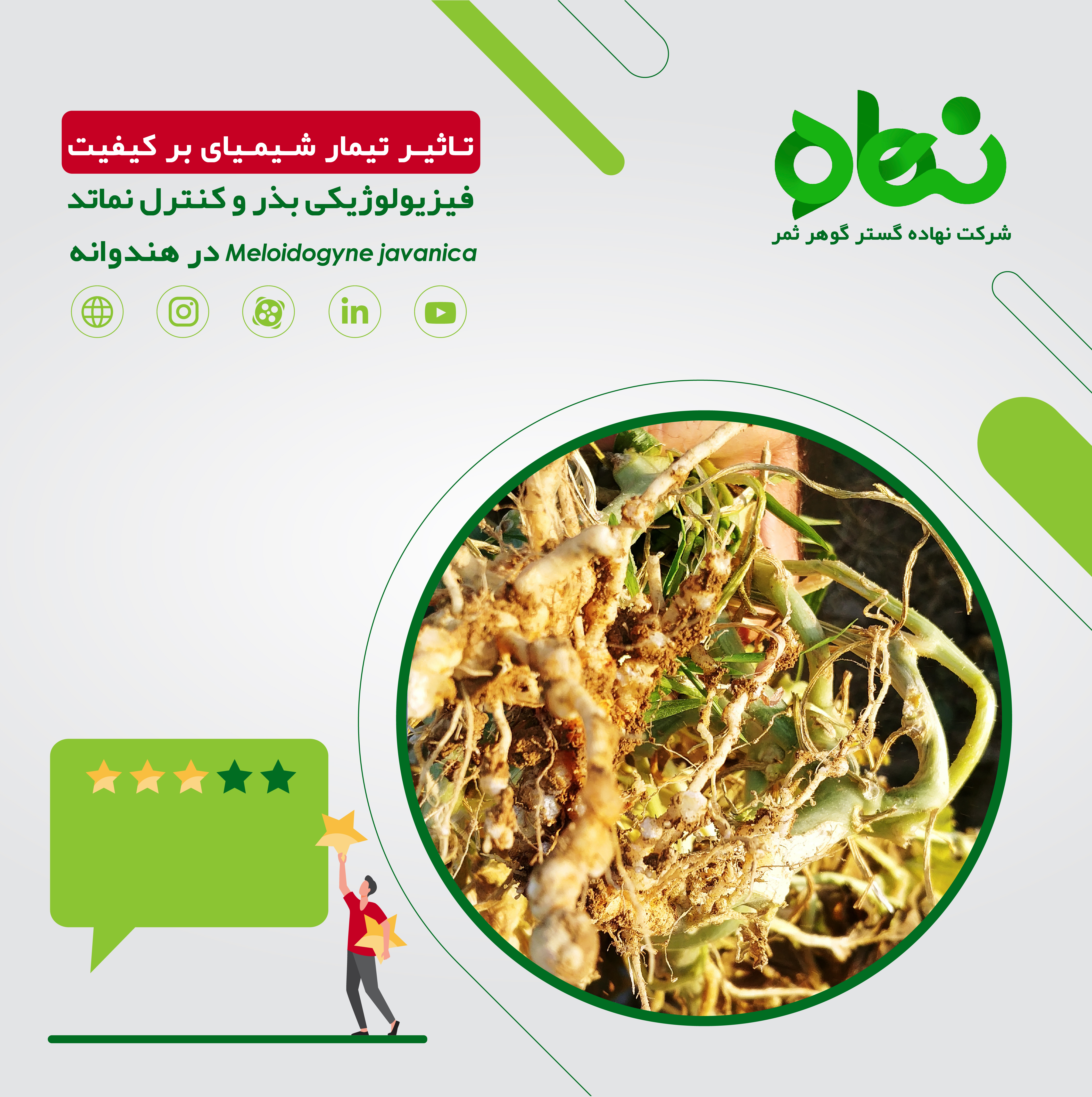 تاثیر تیمار شیمیای  بر کیفیت فیزیولوژیکی بذر و کنترل نماتد Meloidogyne javanica در هندوانه